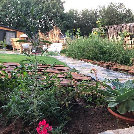 Willa Tiny House Kayakoey Nar Fethiye Zewnętrze zdjęcie